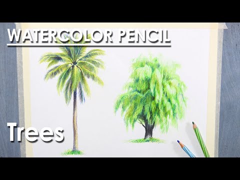 Watercolor Pencil How to Draw Trees | Sketching techniques | Coconut and Willow Tree