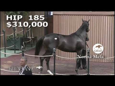 NONNA MELA as a Keeneland September Yearling