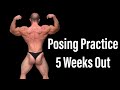 Physique Update | 189lbs | Bodybuilding Posing Practice - 5 Weeks Out