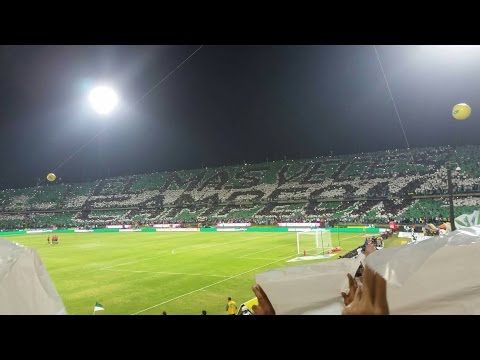 "Atletico Nacional 3 vs Cali 0/ Superliga Final/ 27 De Enero 2016/ La Hinchada De Nacional" Barra: Los del Sur &bull; Club: Atlético Nacional