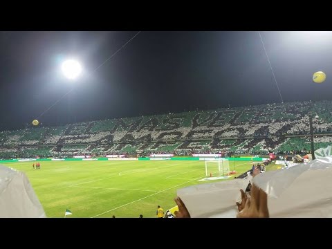 "Atletico Nacional 3 vs Cali 0/ Superliga Final/ 27 De Enero 2016/ La Hinchada De Nacional" Barra: Los del Sur • Club: Atlético Nacional