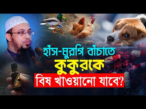 হাঁস মুরগি বাঁচাতে কুকুরকে বিষ খাওয়ানো কি জায়েজ হবে?