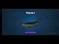 Фото Мифическое испытание / Награды хуже не придумать / Fishing Clash: Реальная рыбалка