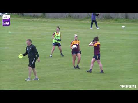 2022 06/12 Wexford v Leitrim - TG4 Intermediate Championship Group A Round 3