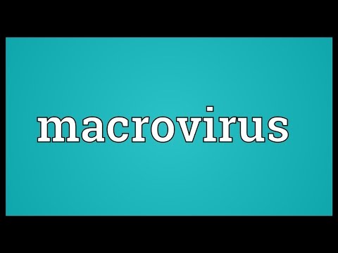 Macrovirus Meaning