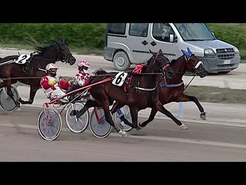 Aversa trotto 26 Settembre 2020 - 3° Corsa