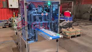 Satılık Gulpack GLPY5- Ters Gezer Çene Paketleme Makinesi yatay ambalajlama makinesi - Görüntü 4 | Machineryline TR Yeni Gulpack GLPY5- Ters Gezer Çene Paketleme Makinesi yatay ambalajlama makinesi | Görüntü 4 - Machineryline