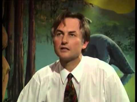 Growing Up in the Universe Part 2: Colour Biomorphs