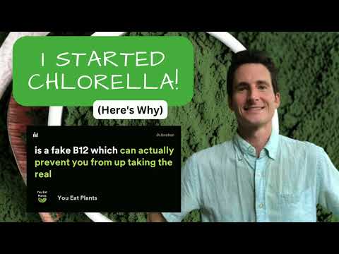 I STARTED Chlorella After I Stopped Spirulina (Here's Why!)