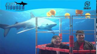 DIA 2 Expo Tiburon142