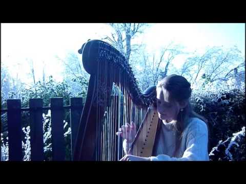 Safe & Sound - Taylor Swift feat. The Civil Wars (Harp Cover)