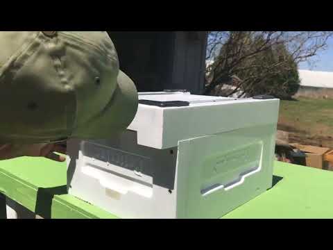 Lyson Bee Hive Assembly