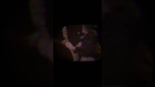 Bob Welch - Man Overboard edit