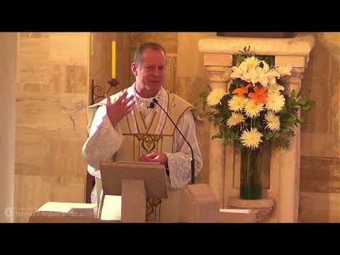 Sermón: Dominica V después de Pascua (9 de mayo de 2021)