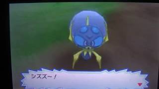娘をストーキングするやまおとこ【ウルトラサンムーン】