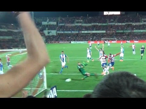 Gol de Rubén Rochina en el GRANADA CF 1-1 RCD ESPANYOL [HD]