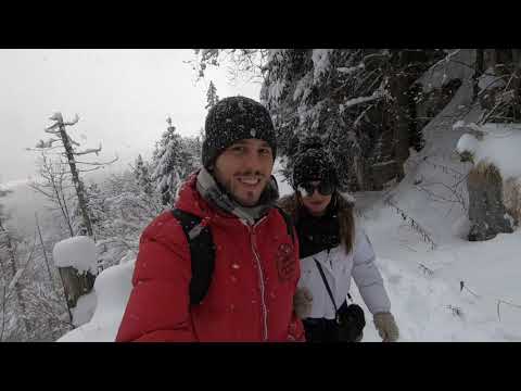 download lagu mp3 mp4 Dr Bumbak, download lagu Dr Bumbak gratis, unduh video klip Dr Bumbak