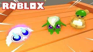 All Pet Trainer Shiny Pets Update 6 Codes 2019 Pet - 