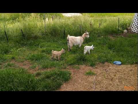 Fundamentals of Geoserver The Farm | packtpub com