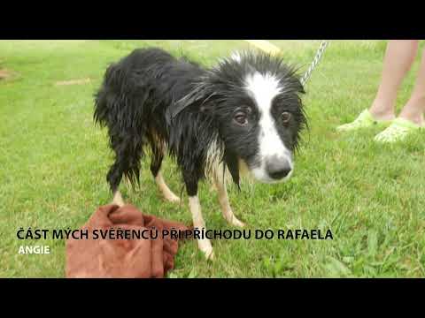 Kniha Příběhy statečných