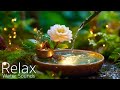 Instant Peace Of Mind Water Sounds Relaxing Music Anxiety Relief