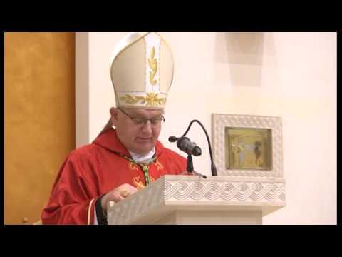 Stepinčevo u župi Srima 2018