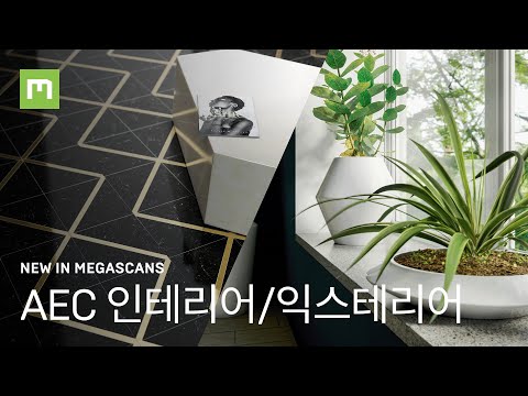 메가스캔과 브리지 5