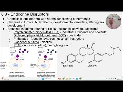 APES - 8.3 - Endocrine Disruptors