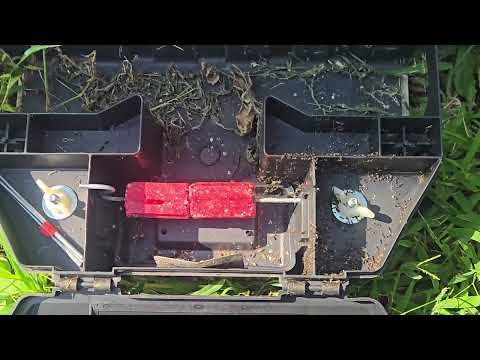 Massive Amount of Ants Swarm the Rodent Bait Station in Perth Amboy, NJ