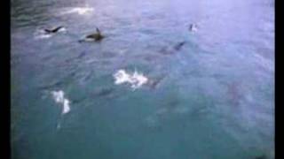 Praise be to Allah
My dear Muslim brother, your efforts to call people to Allah and explain the reality of Allah’s e...