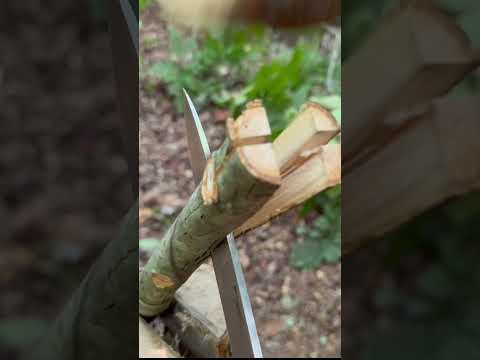 Make a Survival Spear! #bushcraft #woodcraft #project #diy #spear #spearfishing