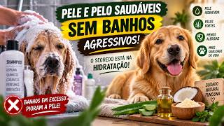 AO INVÉS DE SHAMPOO DEVERIAM USAR ISTO PARA CURAR DERMATITE E COCEIRA DO CACHORRO