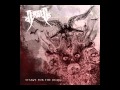 Arsis - Beyond Forlorn lyrics (2010)