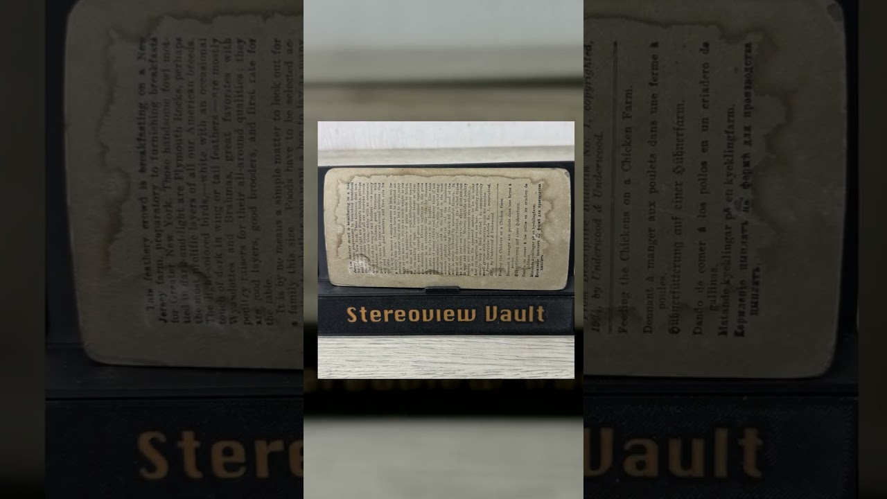 Underwood Stereoview #5808, Feeding Chickens on Farm, c. 1901 Video