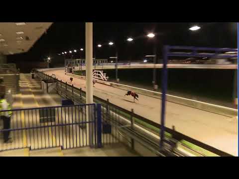 2020 CORAL CESAREWITCH - HEAT 3 - T6 MICKS LITTLE GEM