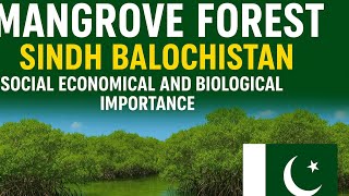 Mangroves Forest Social Economical Biological & environmental importance in Pakistan