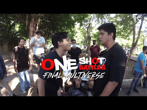 LAW vs GONZO: FINAL - ONE SHOT BATTLES MULTIVERSE