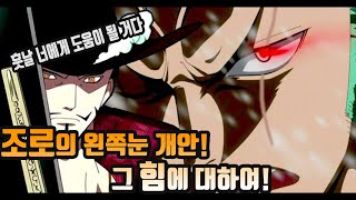 【원피스】조로의 감겨진 왼쪽눈에 잠든 능력!? 그리고 조로가 다스릴 힘에 대하여!