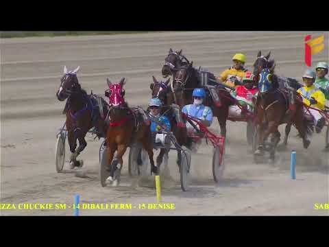 II Corsa del 30 Aprile 2022 - 3 Anni - Metri 2000