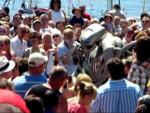 Armed Forces Day, Cardiff Bay. Sights and Sounds