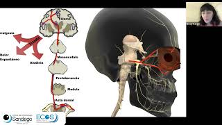 Conferencia : ¿Es la neuralgia corneal un problema neuro-oftalmológico