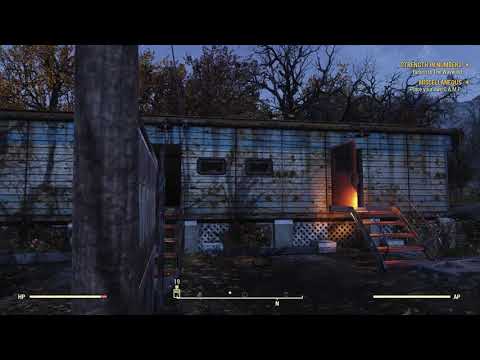 Investigating a disturbance in the night