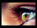 " ASKING TOO MUCH"  (ANI DIFRANCO)