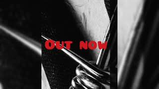 Post Malone - Rockstar •DEMO• (Bootleg remix HASHTAG)