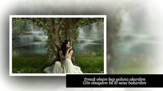 Bir Kuş Olsam Pencerene Konardım