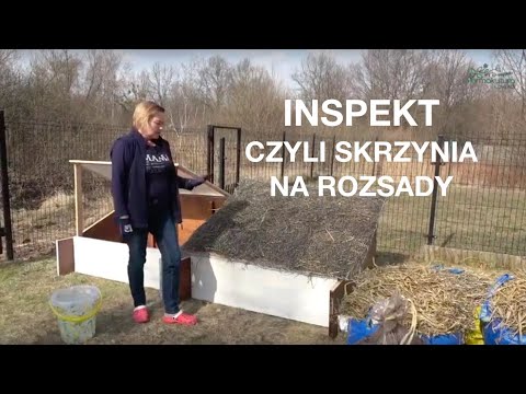 INSPEKT czyli skrzynia na rozsady