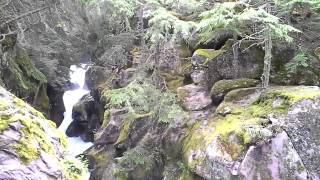 Wait A Minute - Avalanche Creek at Glacier National Park