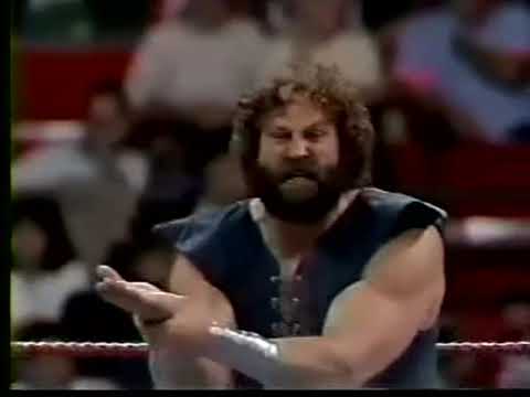 The Viking W/ Mr. Fuji vs Danny Brazil (WWF Superstars 3/23/91)