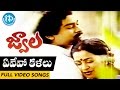 Jwala Movie Songs Evevo Kalalu Video Song Chiranjeevi Radhika Bhanupriya Ilayaraja