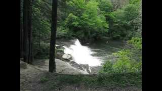 Swimming and Rope Swing at Hooker Falls, DuPont State Forest - 1898 Waverly Inn in Hendersonville NC